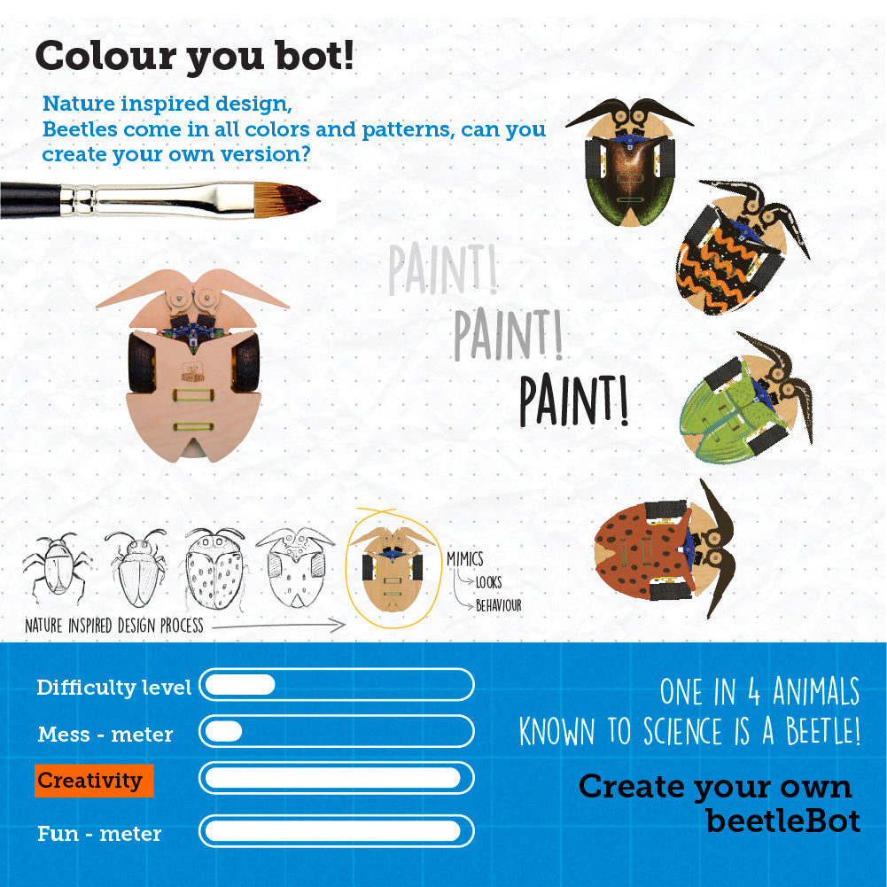 Beetle Bot - DIY Robot with 2 tactile antennas